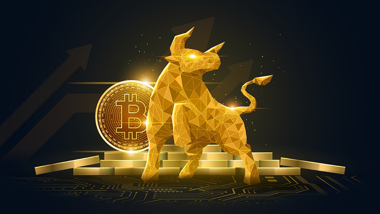 Crypto Marketing Bull Market Crypto Marketing Agency Firm Company