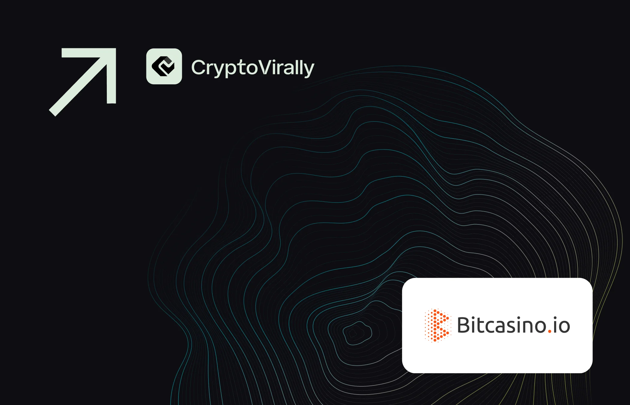 Bitcasino marketing casestudy