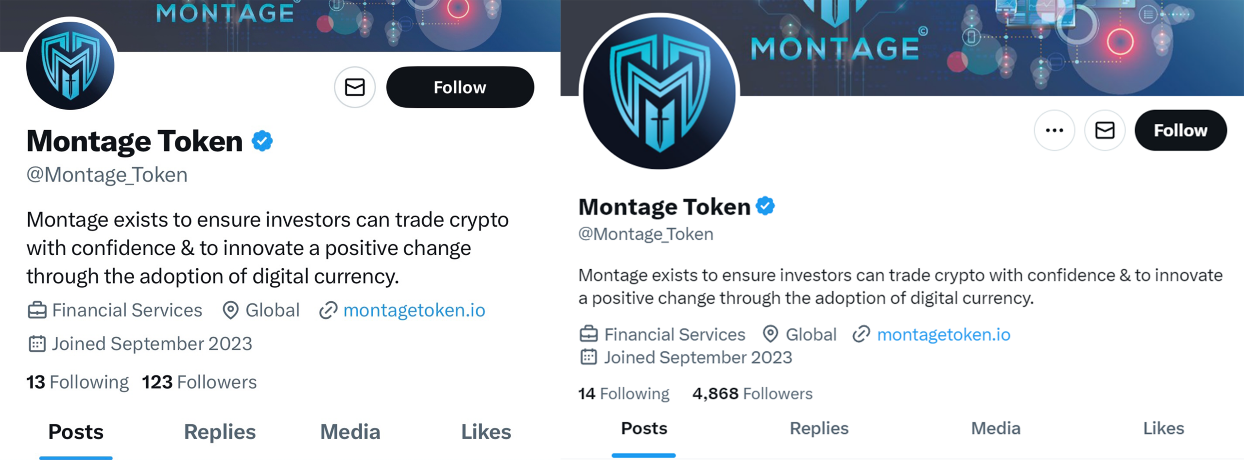 Montage Token X