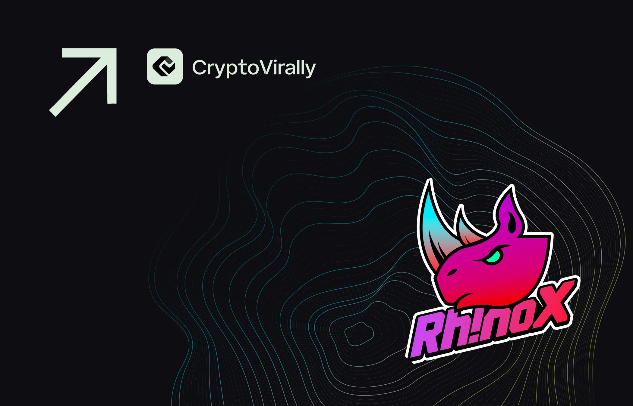 rhinox-NFTMarketing-casestudy
